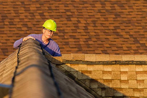 Roof Gutter Cleaning in Sea Bright, NJ